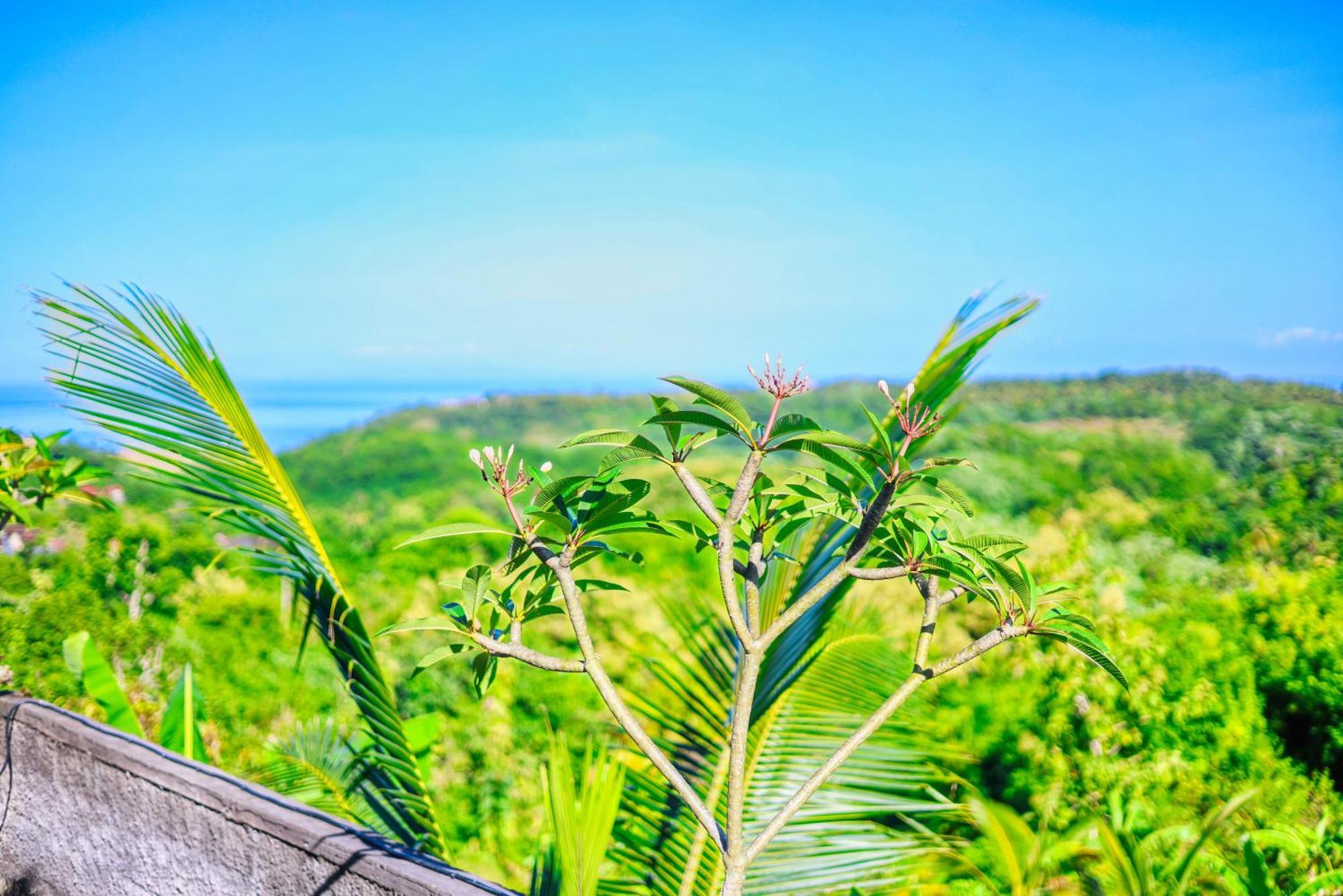 D Sebuluh Bungalow Batumadeg ภายนอก รูปภาพ